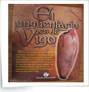 Fotos Carteles Divulgativos